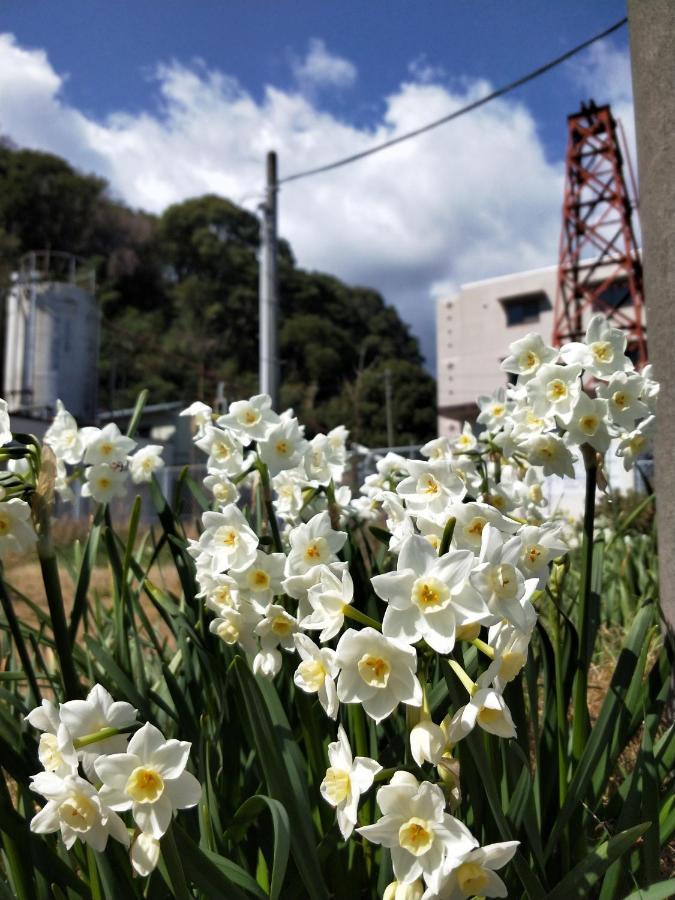 Izu Shirada Villa 伊豆白田家 ฮิกาชิอิซุ ภายนอก รูปภาพ