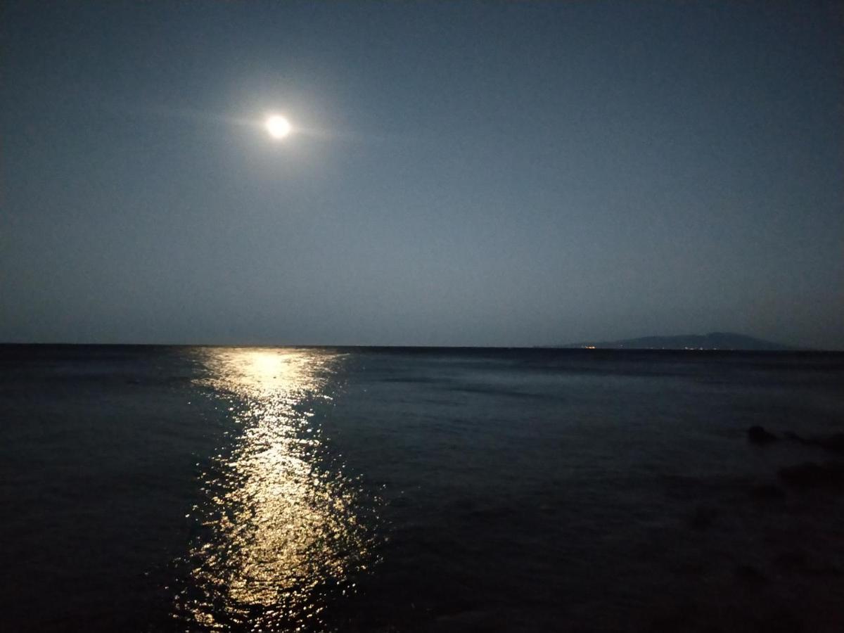 Izu Shirada Villa 伊豆白田家 ฮิกาชิอิซุ ภายนอก รูปภาพ
