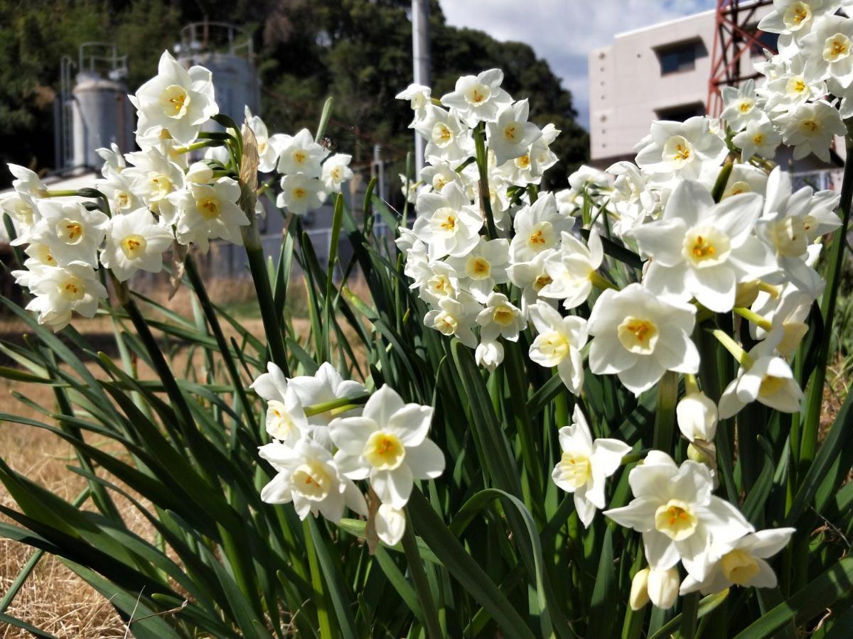Izu Shirada Villa 伊豆白田家 ฮิกาชิอิซุ ภายนอก รูปภาพ
